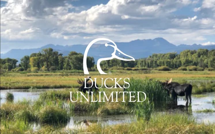 Ducks Unlimited